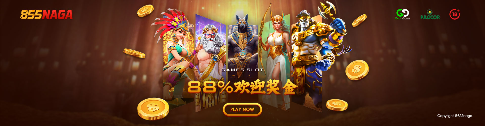 855NAGA  Banner Position 2