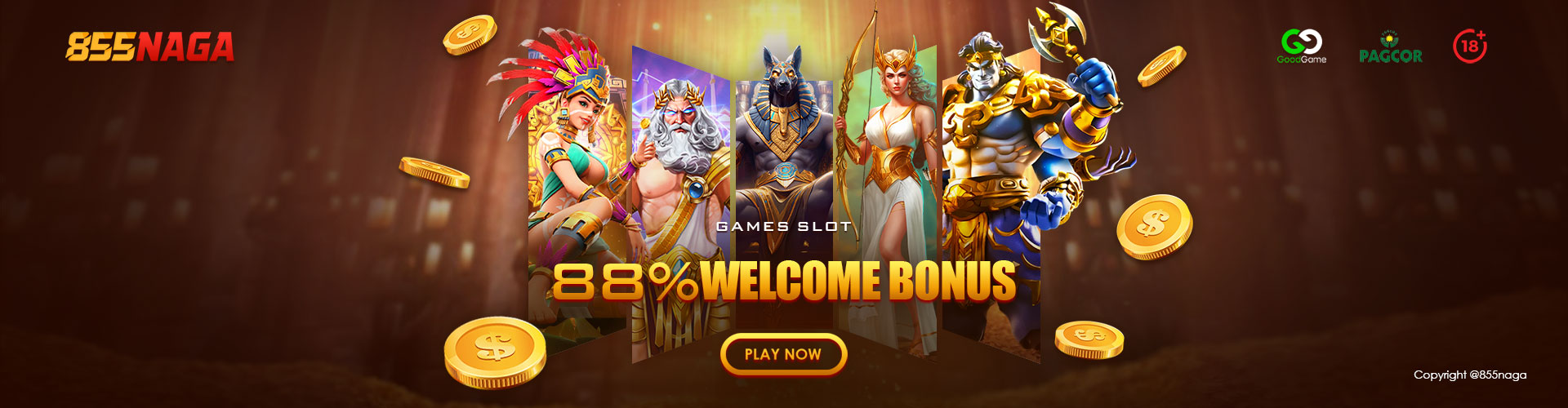 855NAGA  Banner Position 2