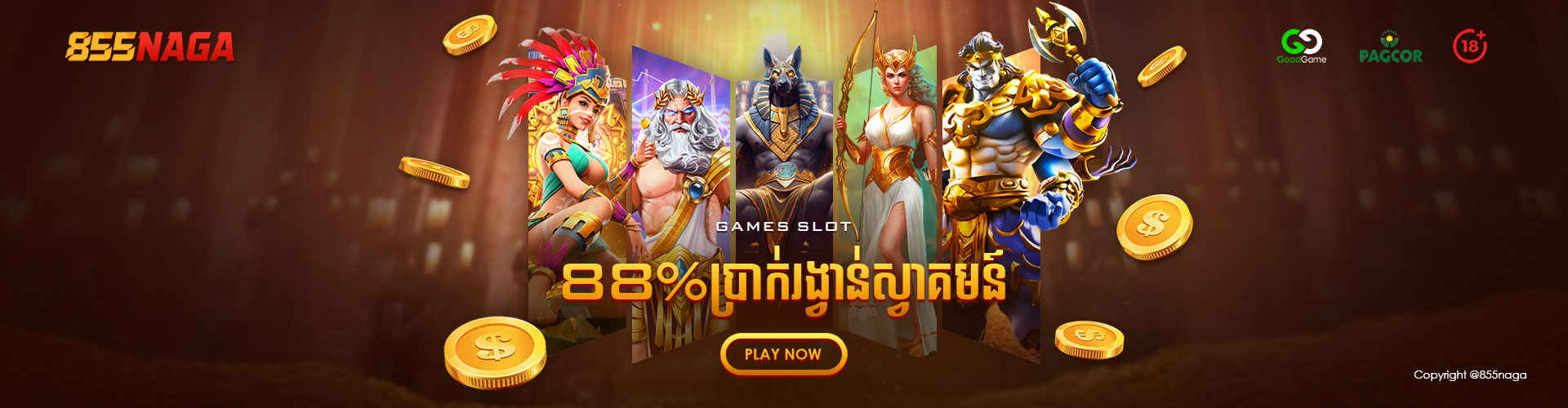 855NAGA  Banner Position 2