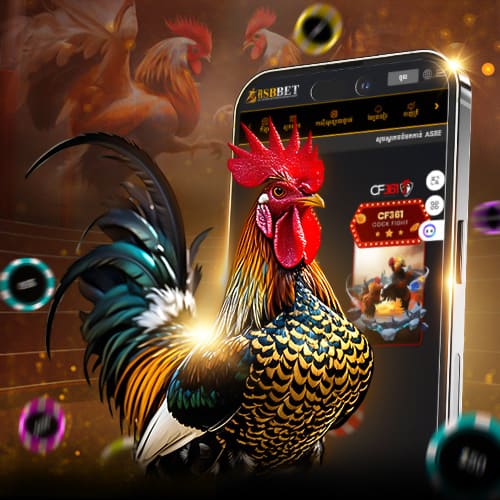 ASB Senior  Promotion ASB Cock Fight