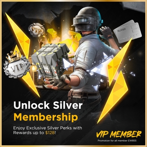 EW855  Promotion Silver VIP Member Promotion